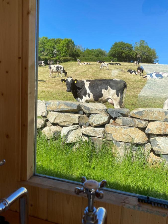 The Stone Wall Hideaway Portglenone 外观 照片